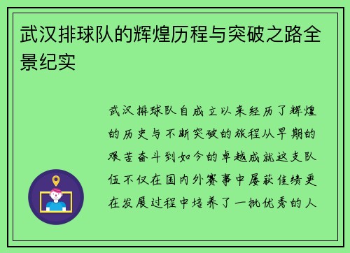 武汉排球队的辉煌历程与突破之路全景纪实